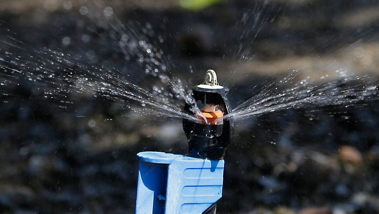 How you can save water during a drought