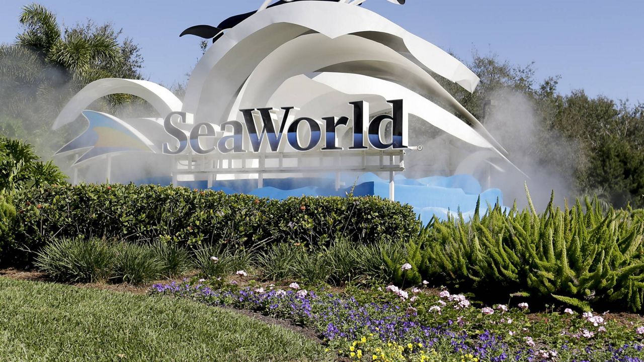 SeaWorld Announces Reopening Date