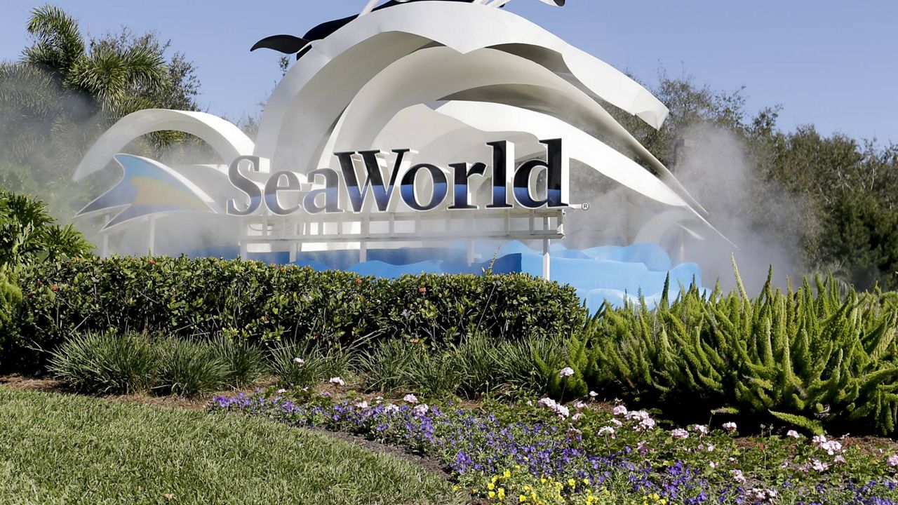 In this Jan. 31, 2017 file photo, the entrance to Sea World is seen, in Orlando, Fla. (AP Photo/John Raoux)