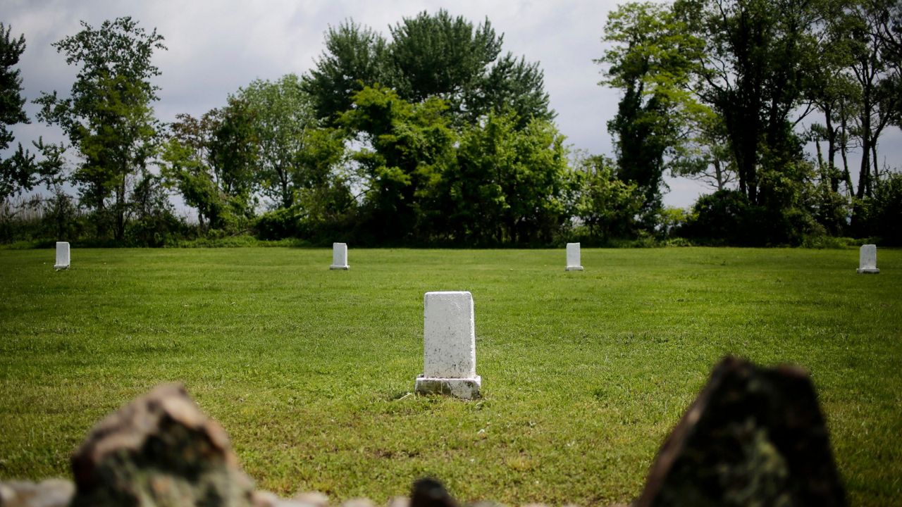 White markers, each indicating a mass grave of 150 people, are displayed on Hart Island in New York.