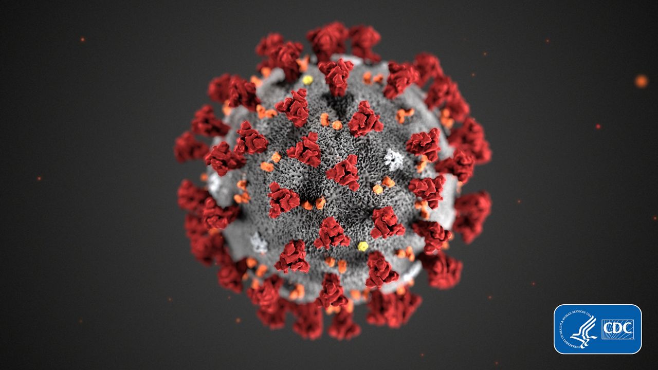 This illustration provided by the Centers for Disease Control and Prevention (CDC) shows the 2019 novel coronavirus. (CDC via AP, File)