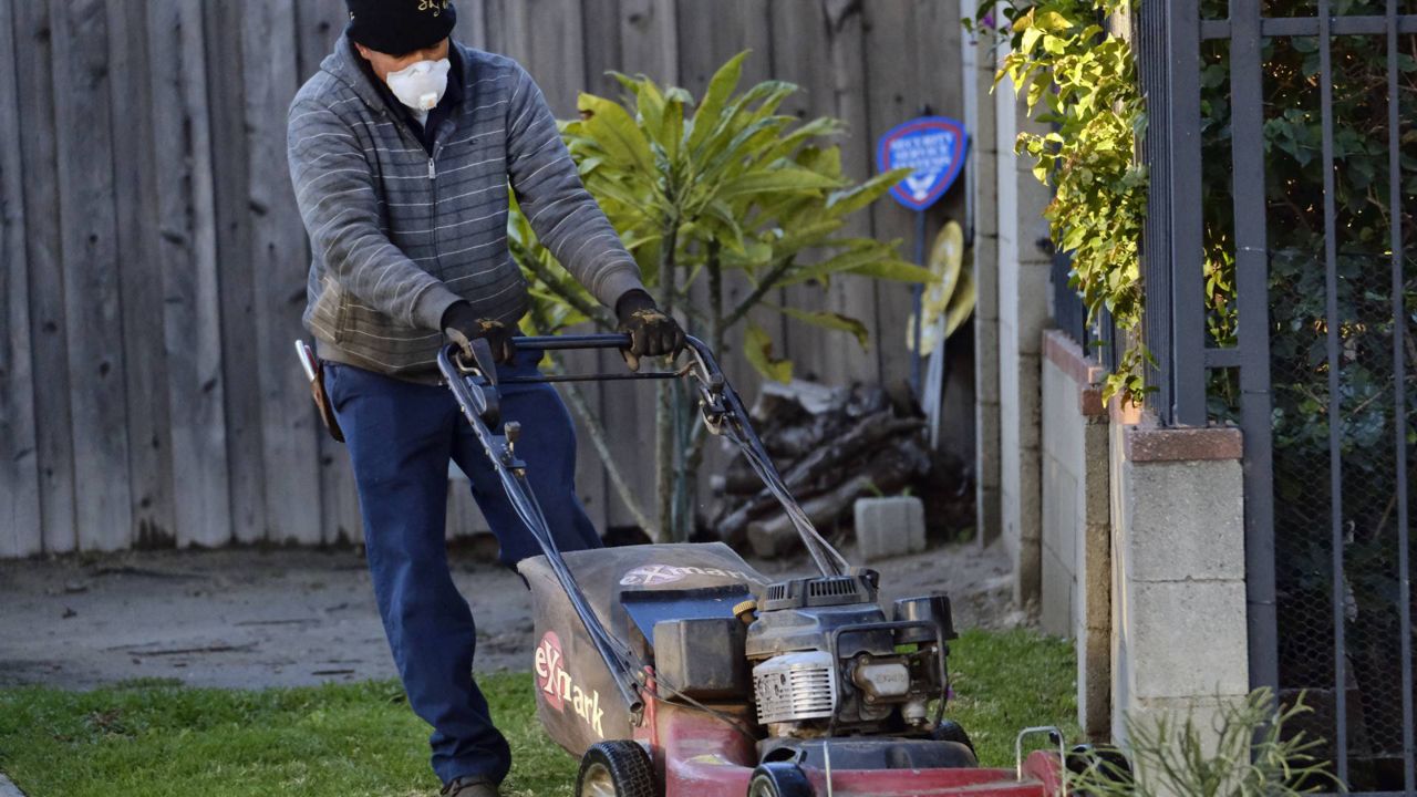 Not adhering to a Stay at home order in Los Angeles, a neighborhood gardener wearing a protective mask attends to a homeowner’s lawn in LA on March 26, 2020. (AP Photo/Richard Vogel)