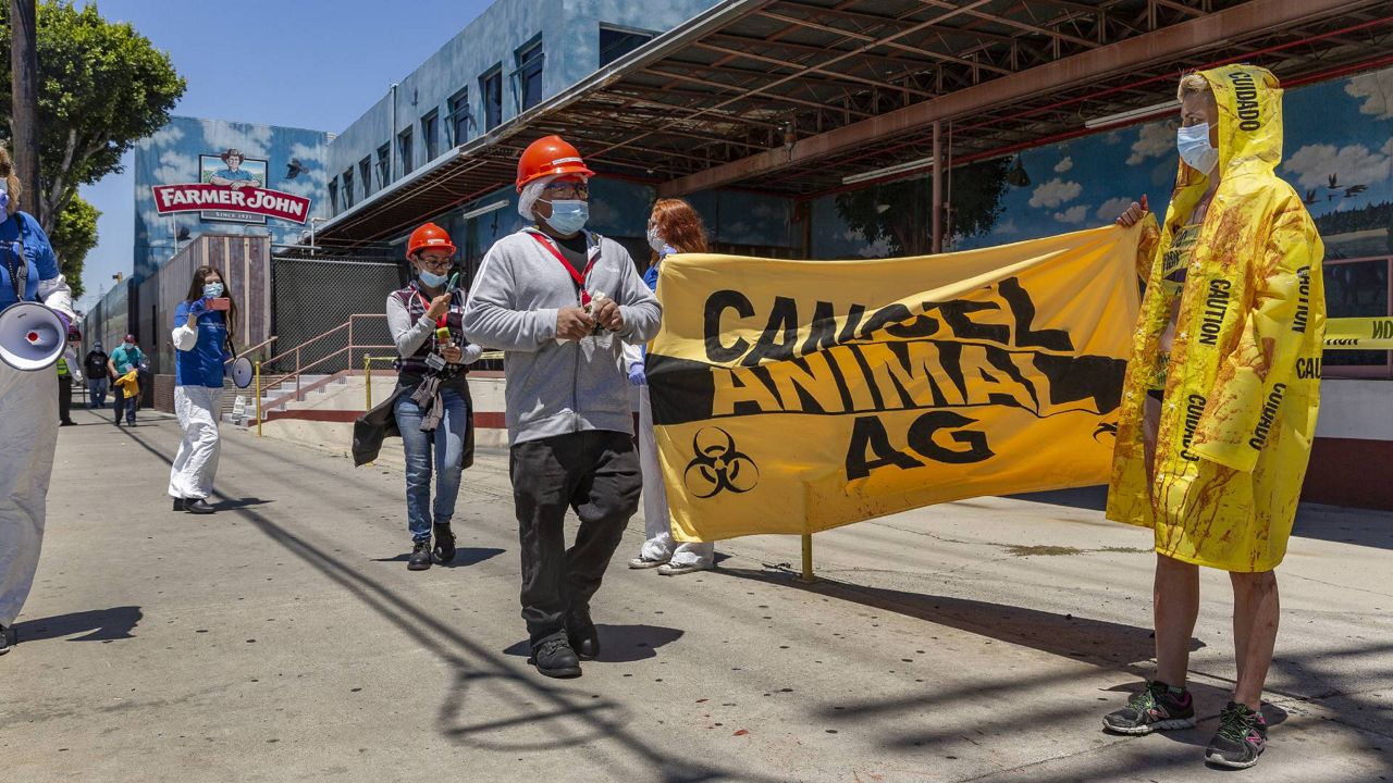 Activist Emek Echo, right, with the animal rights network Direct Action Everywhere (DxE), joins demonstrators outside the Farmer John slaughterhouse in Vernon, Calif., as workers walk out of the plant during a break on May 21, 2020. (AP/Damian Dovarganes)