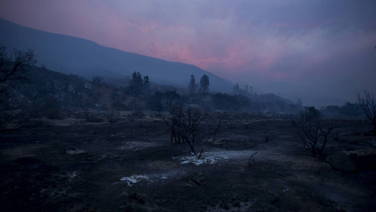 Burned area is seen in the Lake Hughes fire in Angeles National Forest on Aug. 13, 2020, north of Santa Clarita, Calif. (AP Photo/Ringo H.W. Chiu)