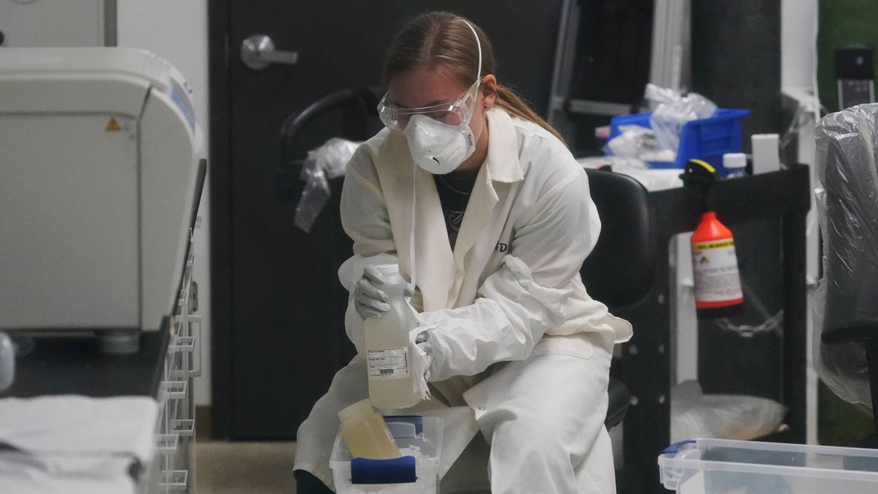 A laboratory assistant holds sewage samples collected from Utah State University dormitory's on Sept. 2, 2020, in Logan, Utah, where COVID-19 was detected. (AP Photo/Rick Bowmer, File)