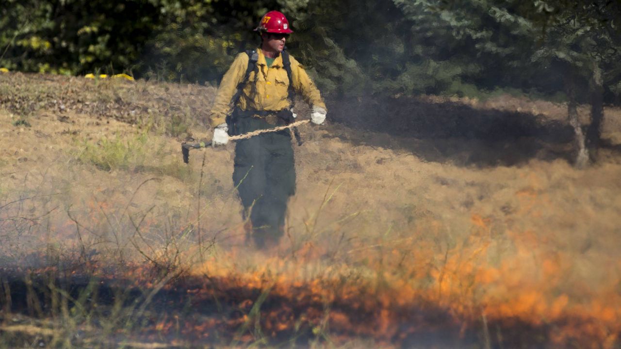 A member of hand crew works on the fire line in Yucaipa, Calif., Saturday, Sept. 5, 2020. (AP Photo/Ringo H.W. Chiu)