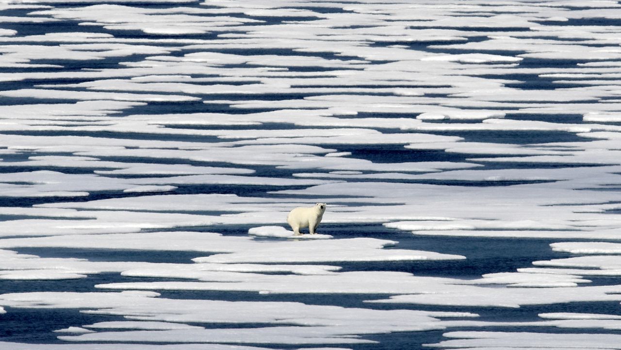 World Leaders Sound Alarm About Climate Change - Spectrum News