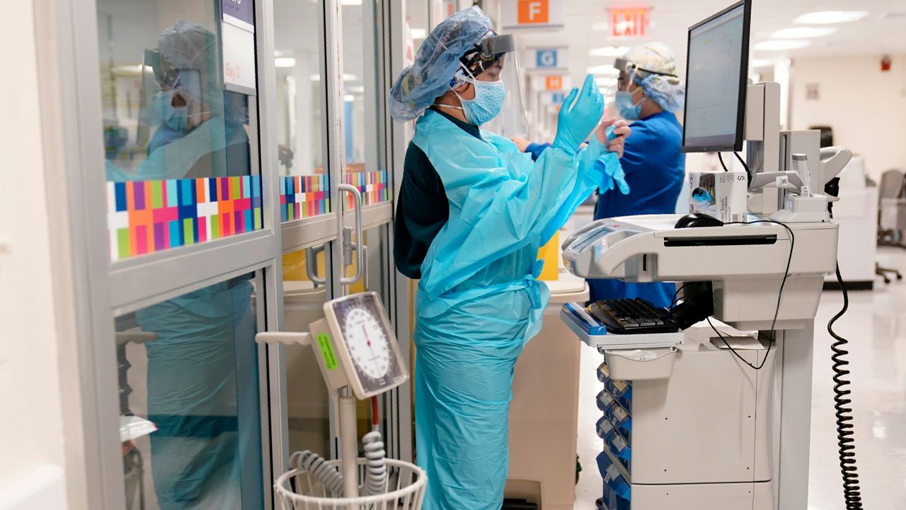 Wave doctors essay image