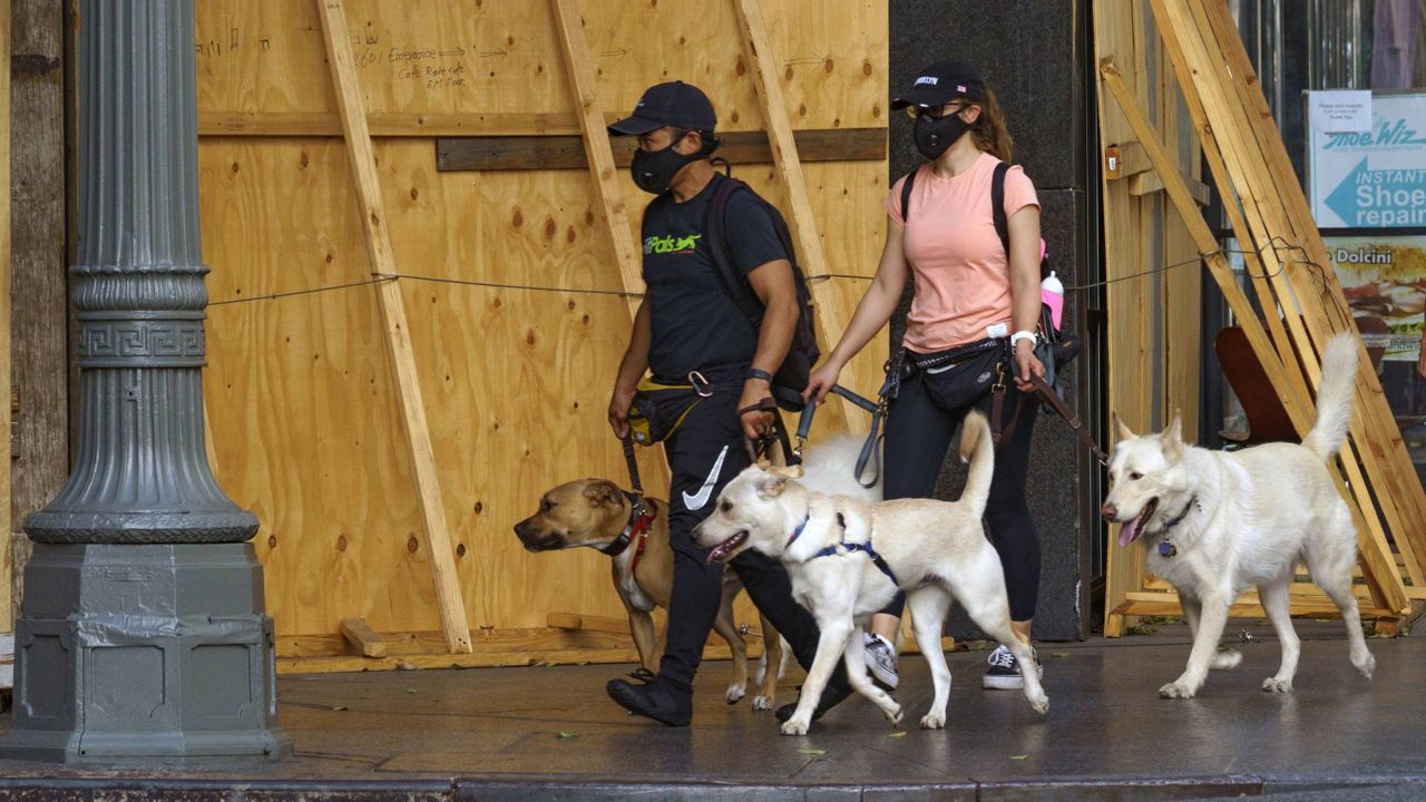Dog walkers with FitPals wear face masks as they walk around boarded businesses downtown L.A., Nov. 18, 2020. (AP/Damian Dovarganes)