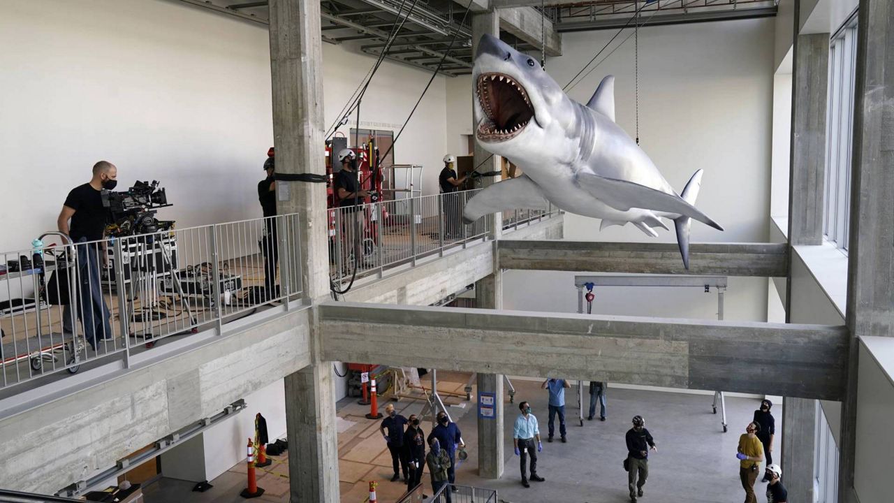 A fiberglass replica of Bruce, the shark featured in Steven Spielberg's classic 1975 film "Jaws," is lifted into a suspended position for display at the new Academy of Museum of Motion Pictures, Nov. 20, 2020, in LA. (AP Photo/Chris Pizzello)