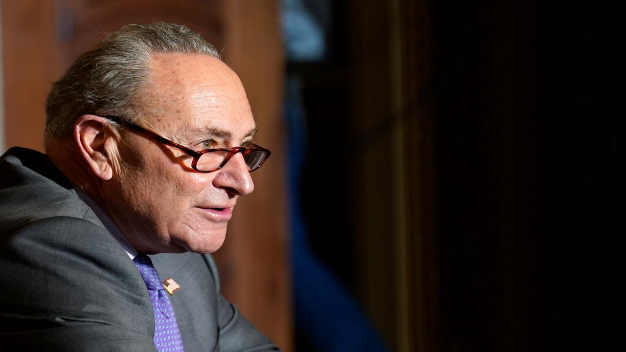 Senate Minority Leader Sen. Chuck Schumer of N.Y., speaks to reporters on Capitol Hill in Washington, Wednesday, Dec. 30, 2020, before his meeting with Transportation Secretary-designate Pete Buttigieg. The photo shows the side profile of Schumer from his shoulders up, wearing grey suit, blue tie and brown glasses.