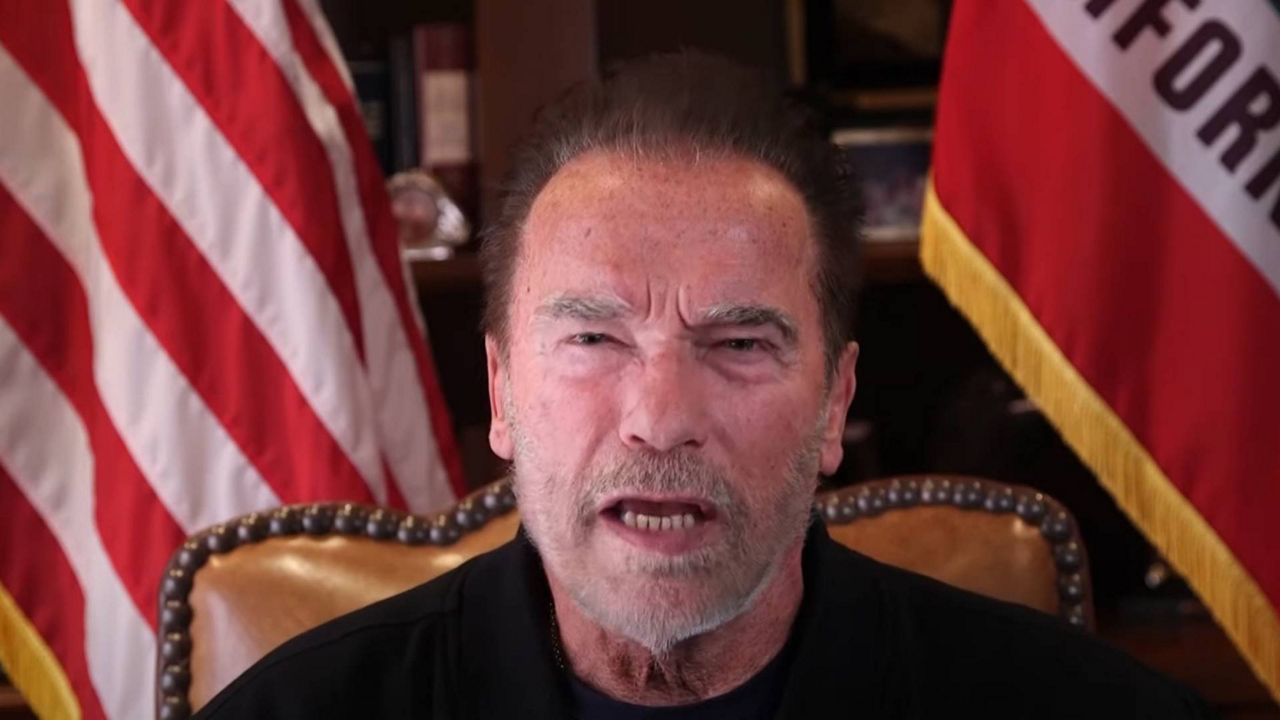 Arnold Schwarzenegger Compares US Capitol Mob to Nazis