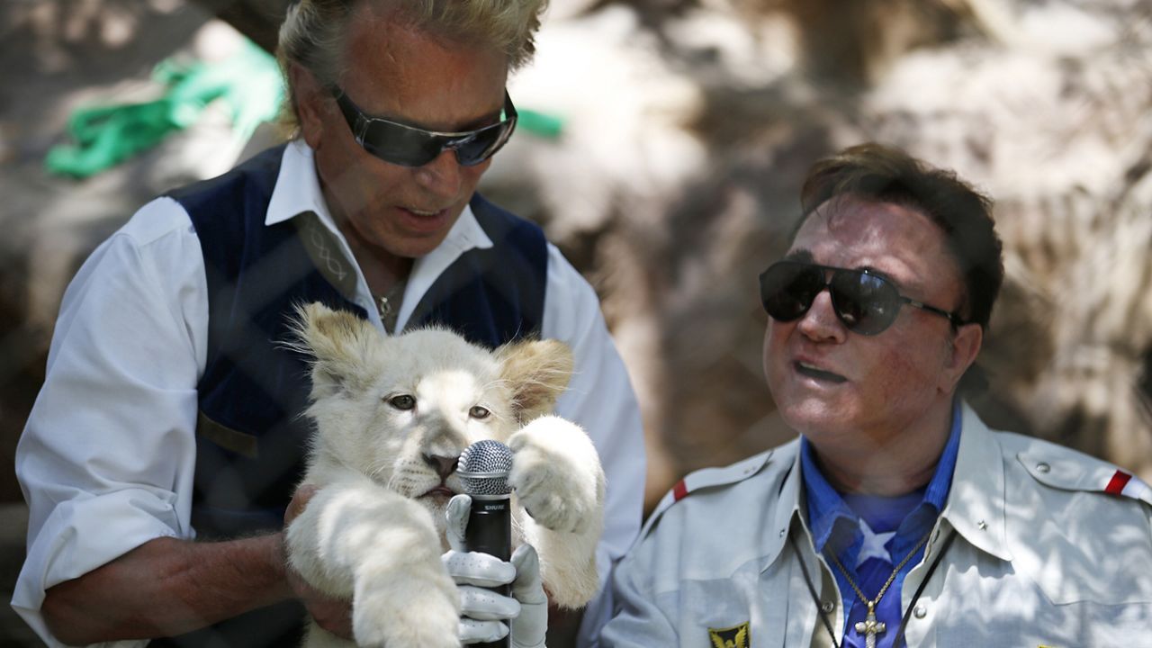 FILE - In this Thursday, July 17, 2014, file photo, Siegfried Fischbacher, left, holds up a white lion cub as Roy Horn holds up a microphone during an event to welcome three white lion cubs to Siegfried & Roy's Secret Garden and Dolphin Habitat, in Las Vegas. (AP Photo/John Locher, File)