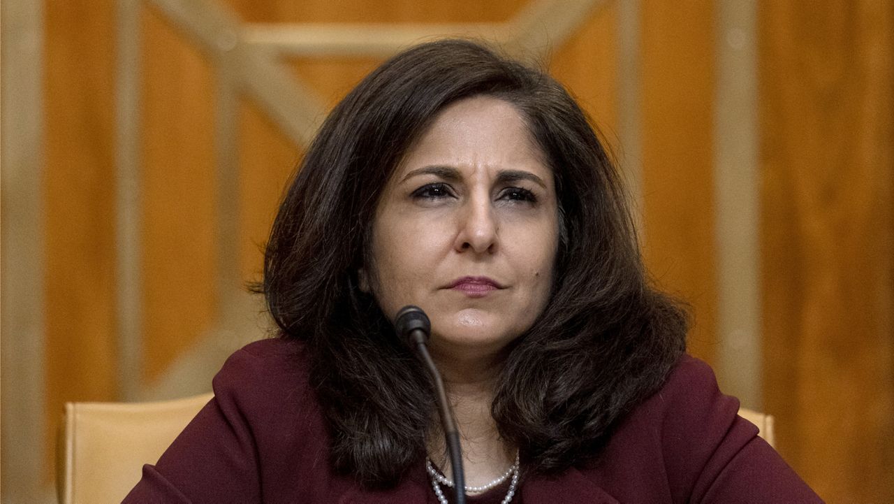 Neera Tanden, President Joe Biden's nominee for Director of the Office of Management and Budget (OMB), appears beofre a Senate Committee on the Budget hearing on Capitol Hill in Washington, Wednesday, Feb. 10, 2021.(AP Photo/Andrew Harnik, Pool)