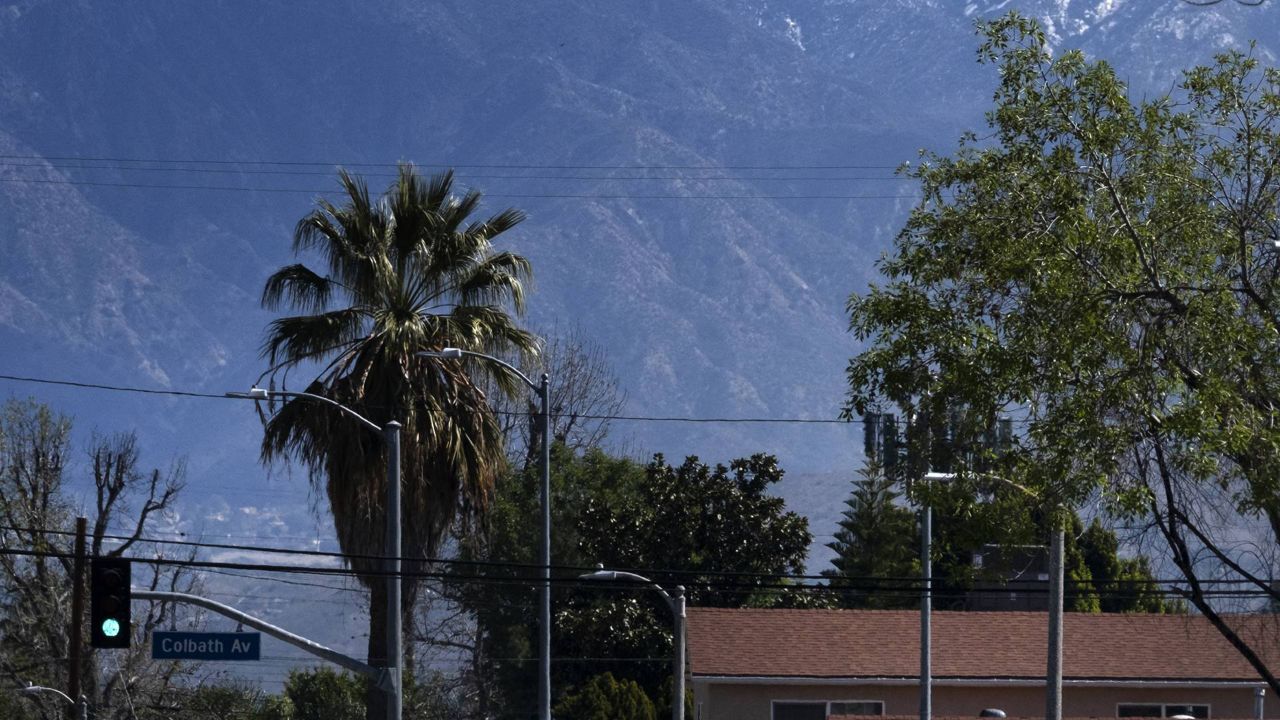 A hilltop is seen behind palm trees in the San Fernando Valley section of Los Angeles on Friday, March 12, 2021. (AP Photo/Richard Vogel)