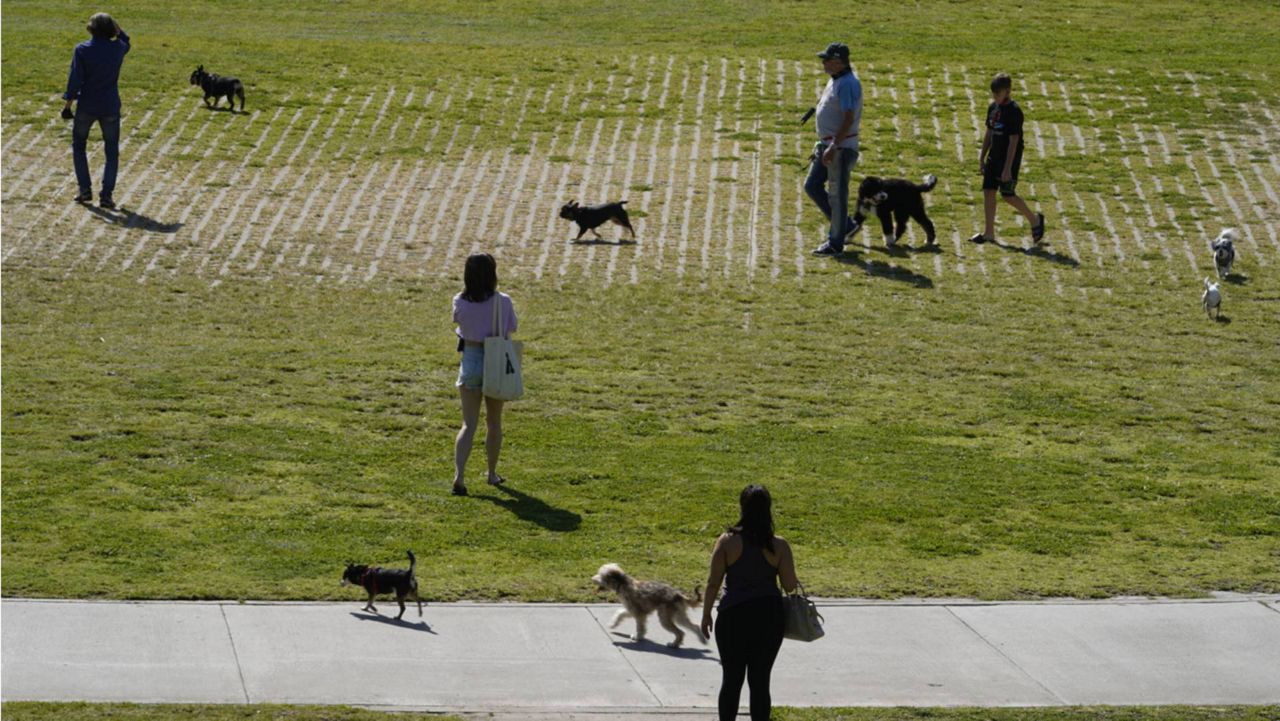 People walk with their dogs at Pan Pacific Park in the Fairfax District of Los Angeles, April 8, 2021. (AP Photo/Damian Dovarganes)