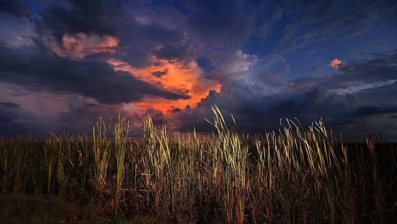 FILE - In this Oct. 20, 2019 photo, a clearing late-day storm adds drama in the sky over a sawgrass prairie in Everglades National Park in Florida. (AP Photo/Robert F. Bukaty, File)