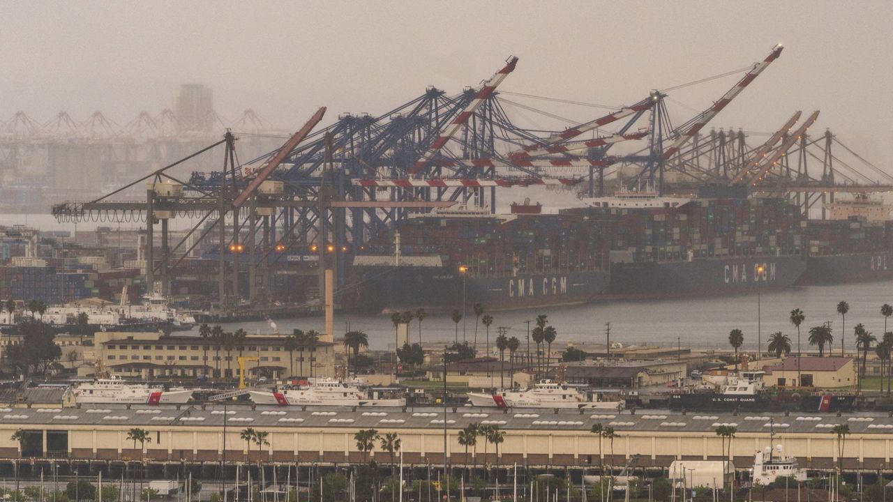 In this March 3, 2021, file photo, container cargo ships are seen docked in the Port of Los Angeles. (AP Photo/Damian Dovarganes)