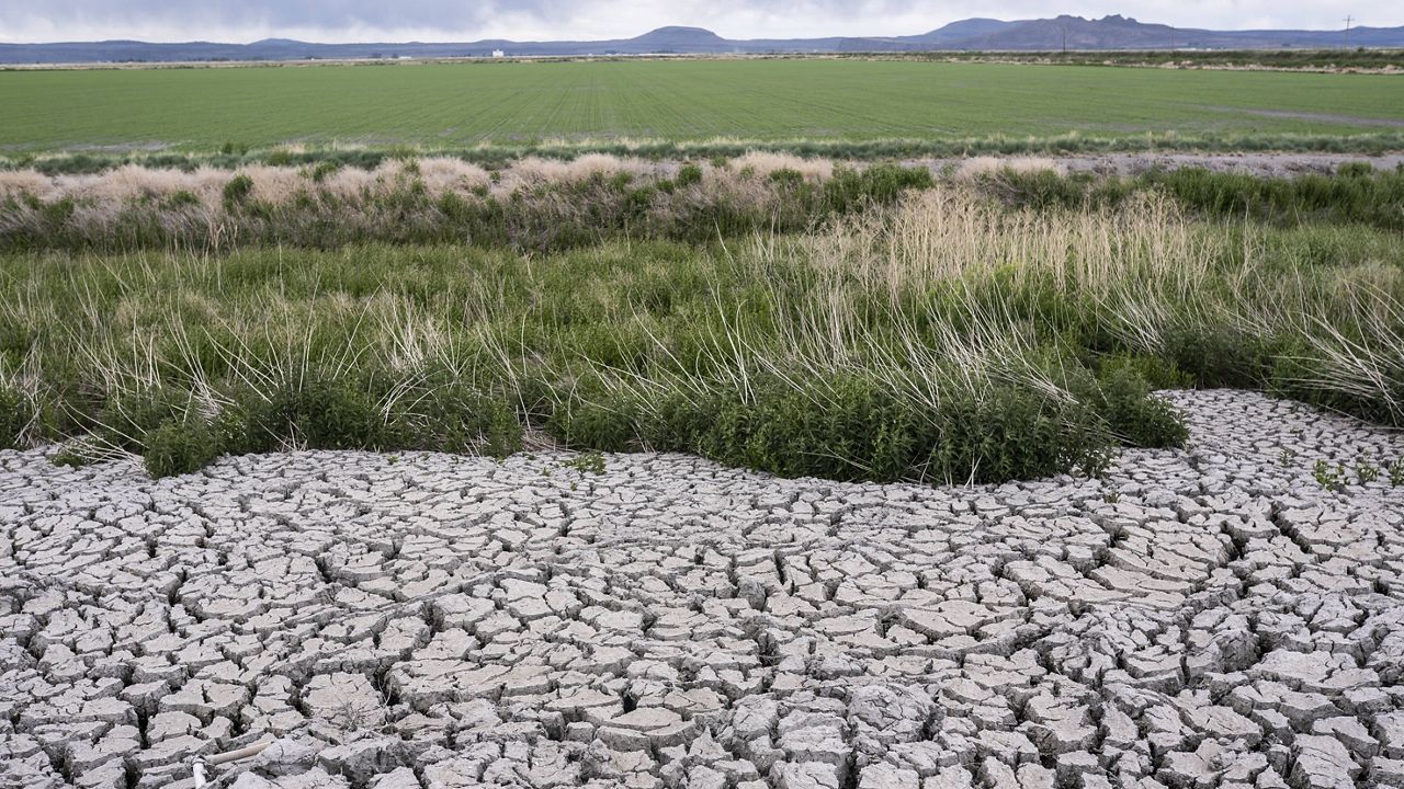 The dried, cracked earth of a former wetland that was drained in an effort to prevent an outbreak of avian botulism which occurs when water levels become too low on Wednesday, June 9, 2021 in Tulelake, Calif. (AP Photo/Nathan Howard)