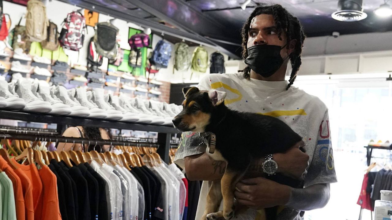 A shopper wears a mask while holding a puppy at the checkout counter inside of The Cool store Monday, July 19, 2021, in the Fairfax district of Los Angeles. (AP Photo/Marcio Jose Sanchez)