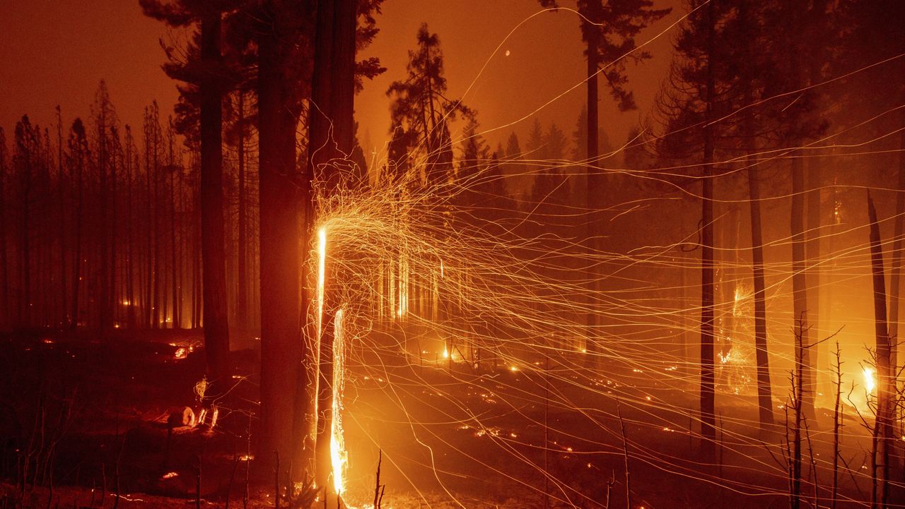 In this long exposure photo, embers fly from burning trees as the Caldor Fire grows on Mormom Emigrant Trail east of Sly Park, Calif., on Tuesday, Aug. 17, 2021. (AP Photo/Ethan Swope)