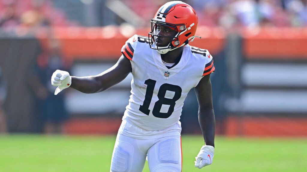 Browns WR Davis suspended 2 games by NFL