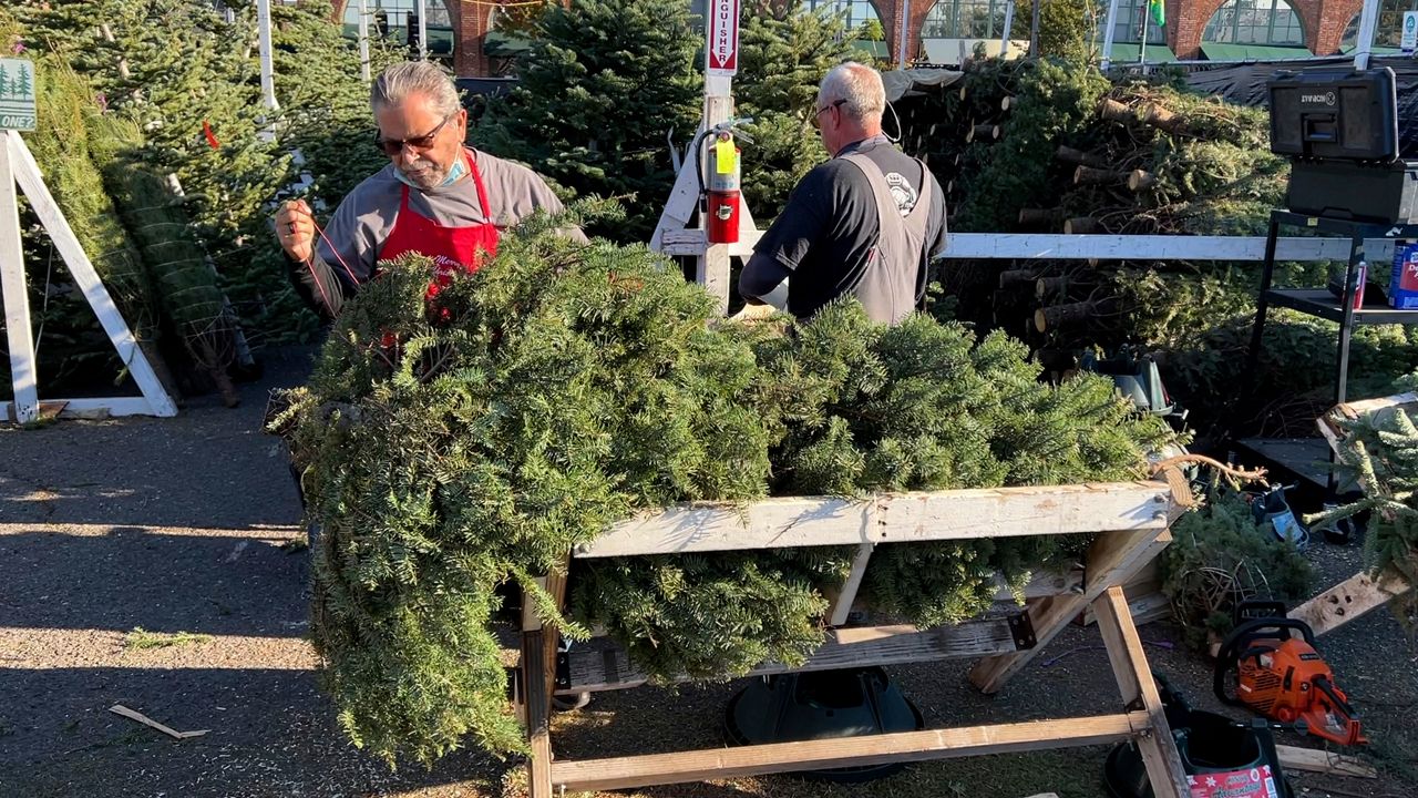 Dale Pine, owner of Crystal River Christmas Trees, prepares a tree for sale at his lot in Alameda, Calif. on Nov. 24, 2021. (AP Photo/Terry Chea)