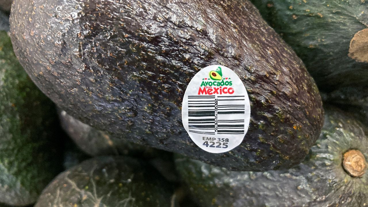 Avocados from Mexico are for sale at a grocery store in Lyndhurst, New Jersey, on Thursday, February 17, 2022. (AP Photo/Ted Shaffrey)
