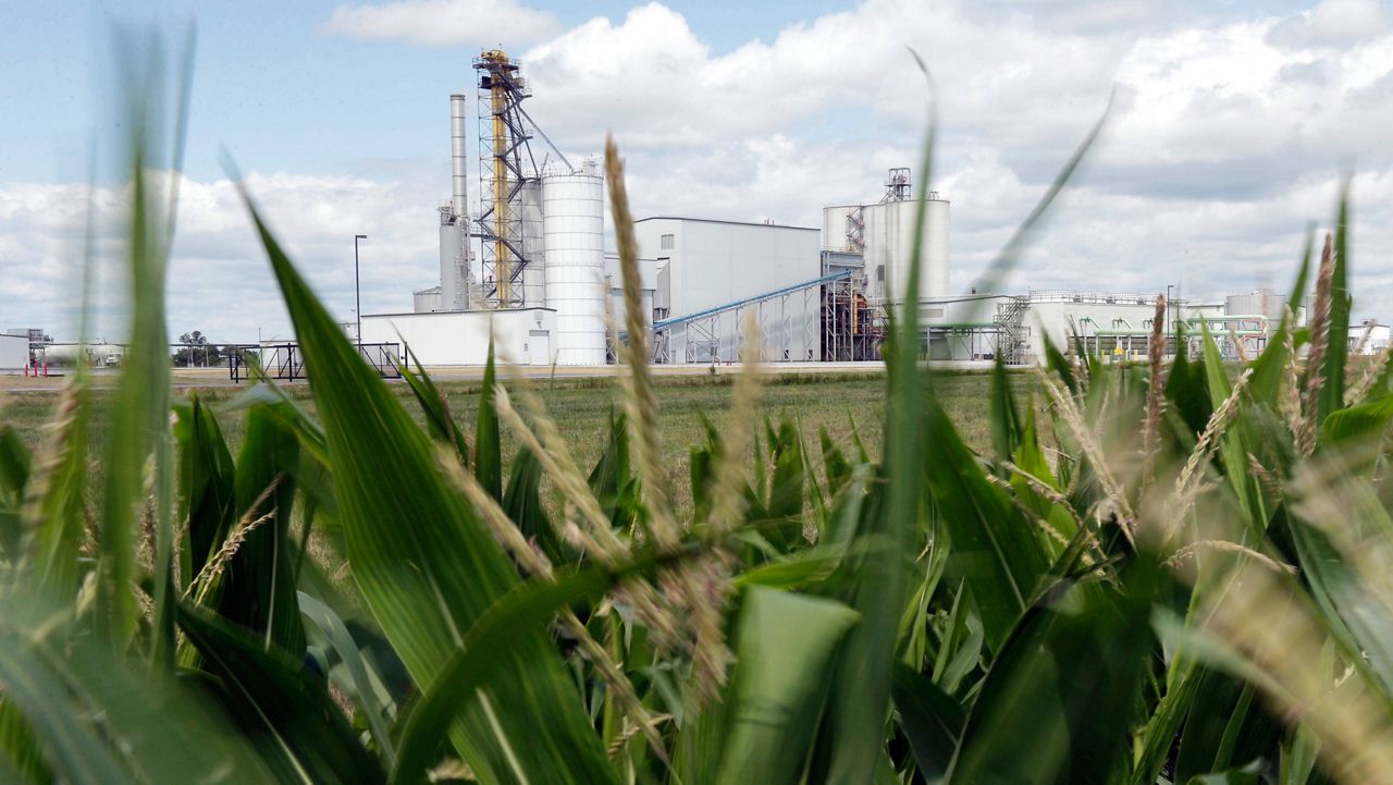 In this July 20, 2013, file photo, an ethanol plant stands next to a cornfield near Nevada, Iowa. (AP Photo/Charlie Riedel, File)
