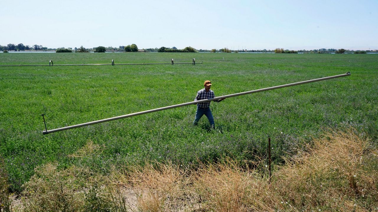 farming