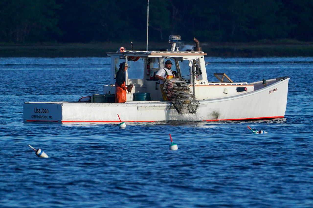 A lobster fisherman hauls a trap, Thursday, Sept. 8, off of Kennebunkport, Maine. The conservation group, Seafood Watch, has added lobster to its "red list" as a species to avoid. They say current management measures do not do enough to prevent entanglements of fishing gear with whales.