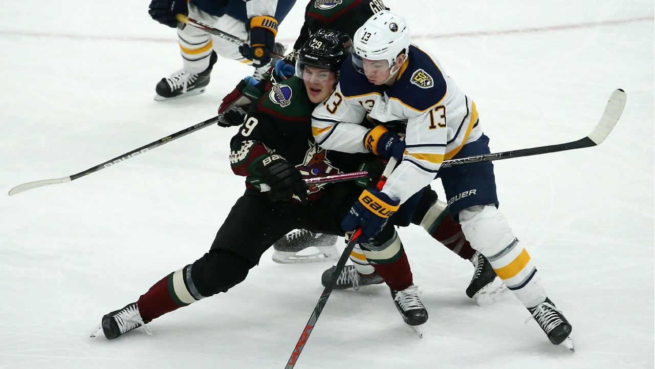 Buffalo Sabres Puck - Center Ice