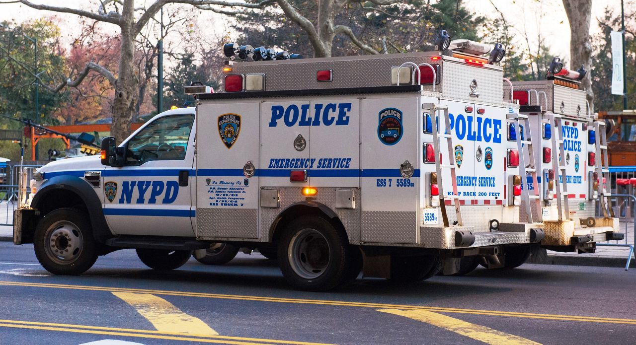 NYPD Discipline Records Published