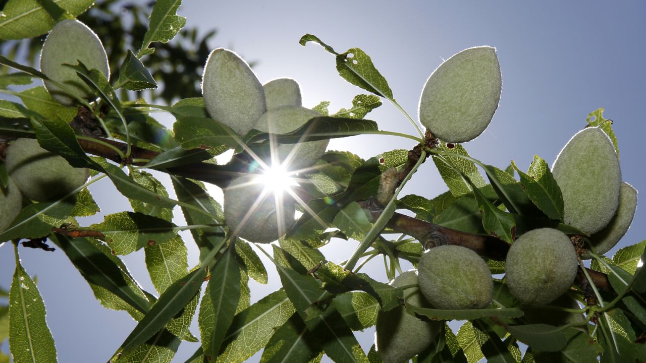U.S. reverses course on pesticide’s harm to wildlife