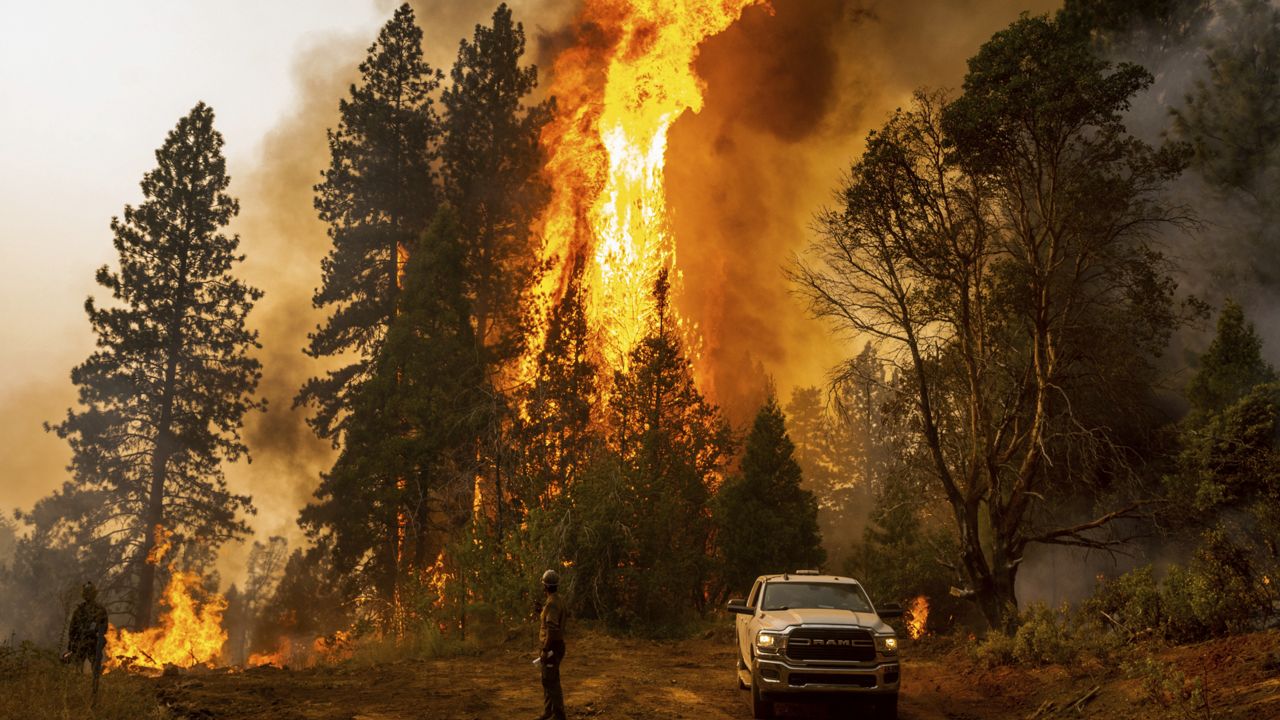A firefighter monitors a backfire, flames lit by fire crews to burn off vegetation, while battling the Mosquito Fire in the Volcanoville community of El Dorado County, Calif., on Sept. 9, 2022. (AP Photo/Noah Berger, File)