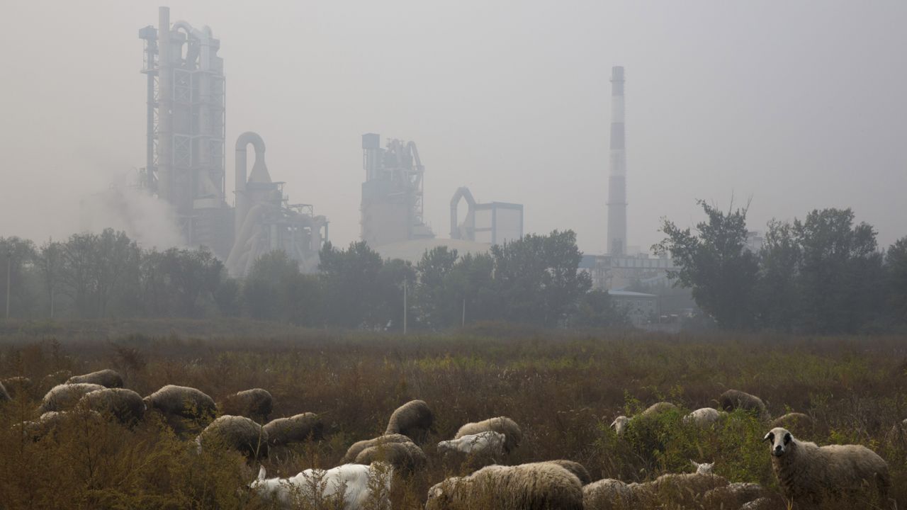 FILE - Sheep graze on a grass land near a cement plant on the outskirts of Beijing, China, Oct. 17, 2015. (AP Photo/Ng Han Guan, File)