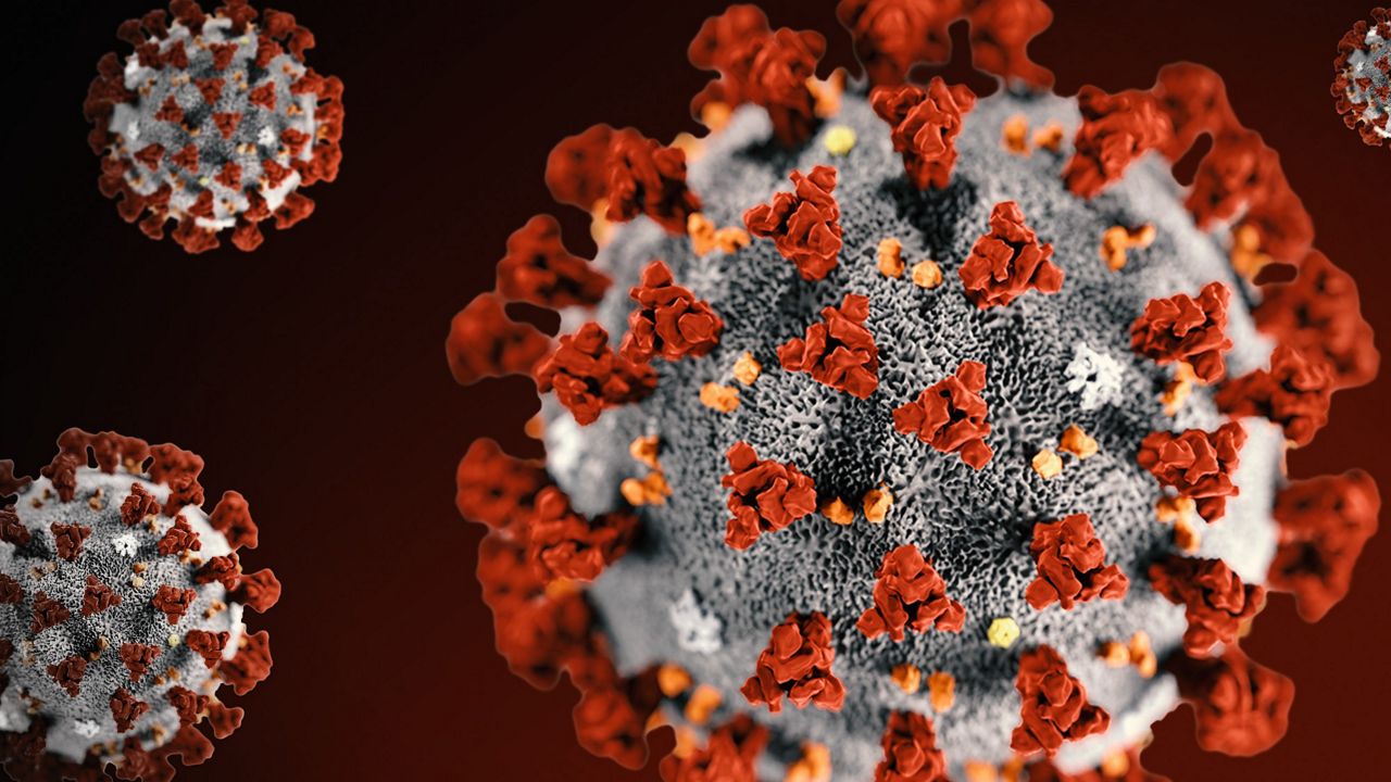 2019 Novel Coronavirus (first detected in Wuhan, China) illustration provided by U.S. Centers for Disease Control and Prevention (AP Images)
