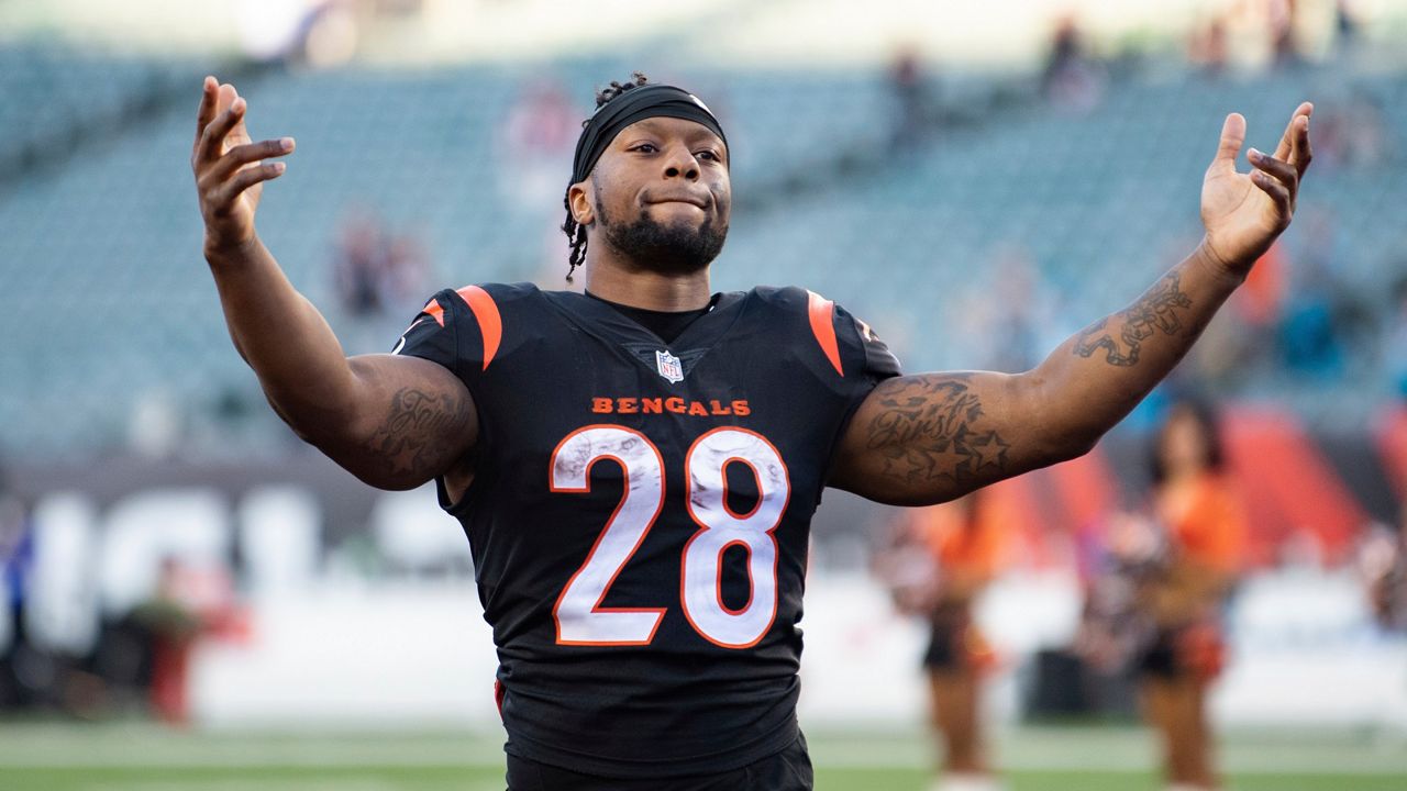 Bengals running back Joe Mixon. (AP Photo)