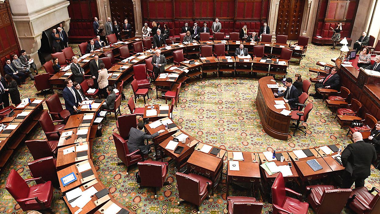 state senate