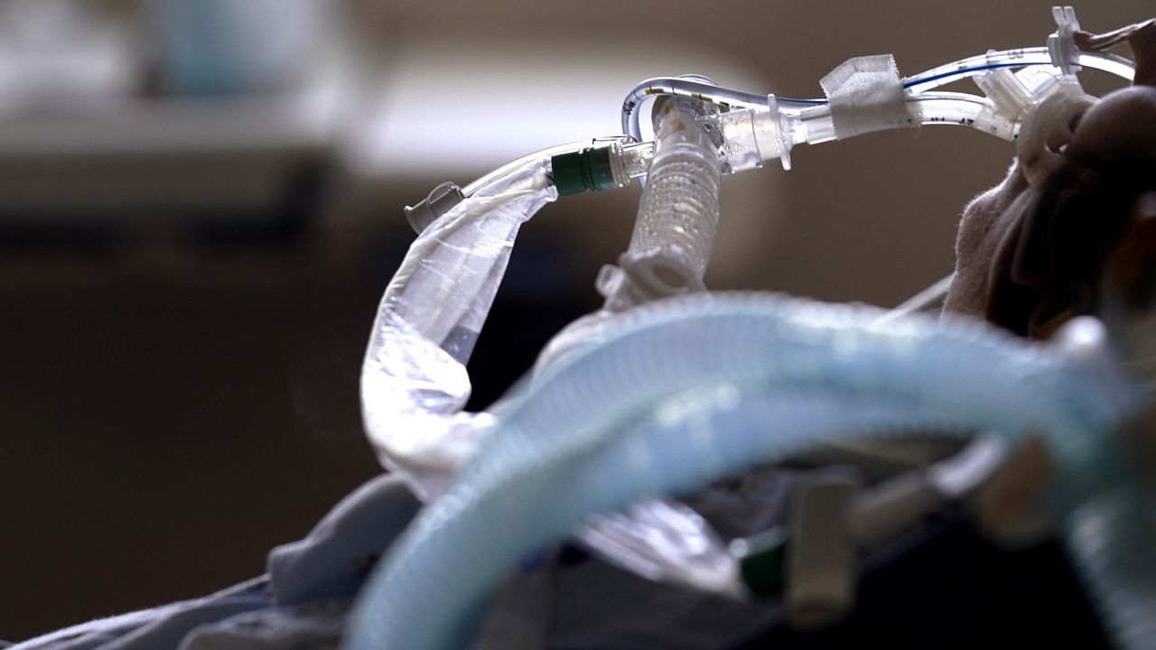 In this Aug. 17, 2021, file photo, patient with COVID-19 on breathing support lies in a bed in an intensive care unit at the Willis-Knighton Medical Center in Shreveport, La. (AP Photo/Gerald Herbert, File)