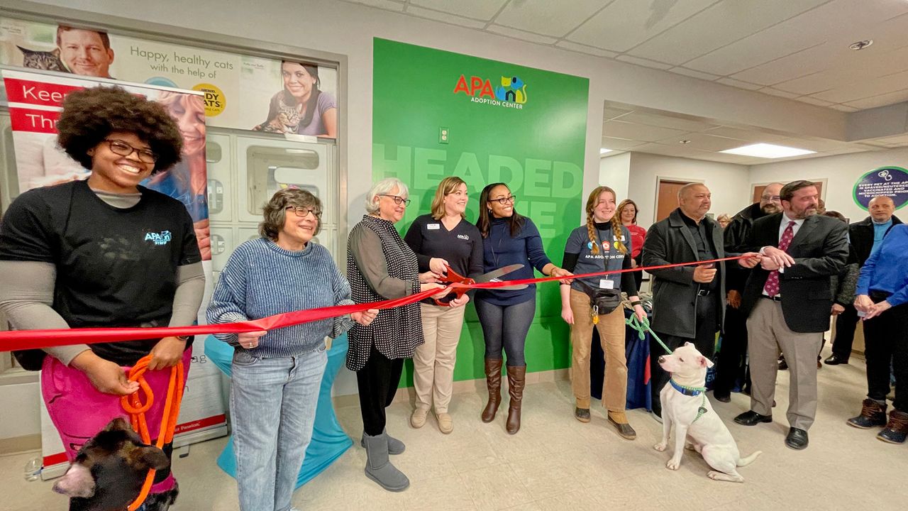 APA Olivette held a ribbon cutting six weeks after officially taking over the St. Louis County Pet Adoption Center. (Spectrum News/Elizabeth Barmeier)