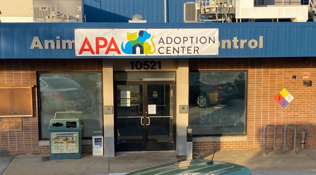 St. Louis County Pet Adoption Center is now being operated by the APA (Spectrum News/Becky Willeke))