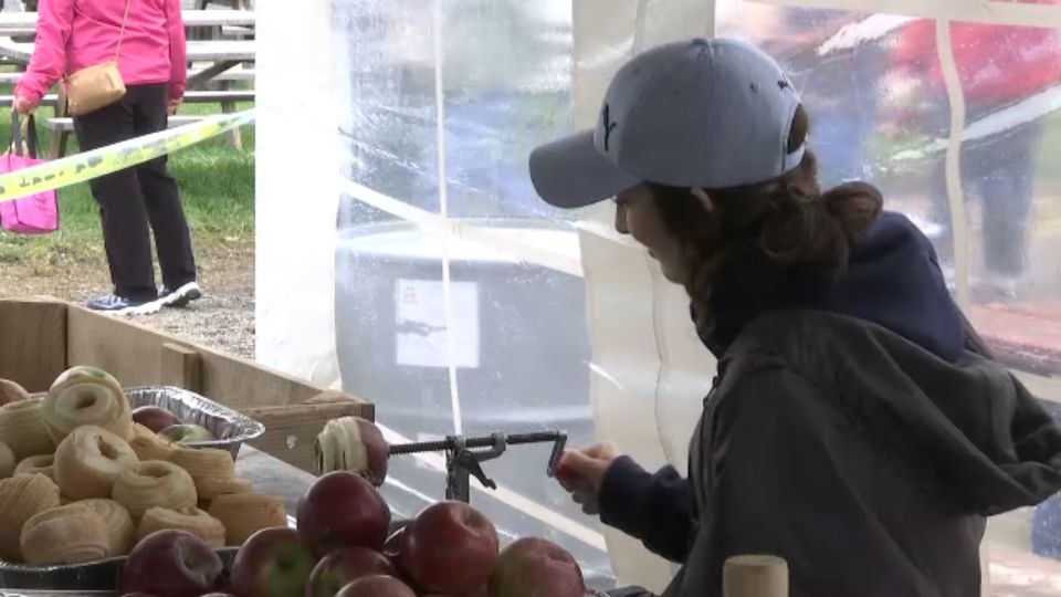 35th annual Central Square Apple Festival