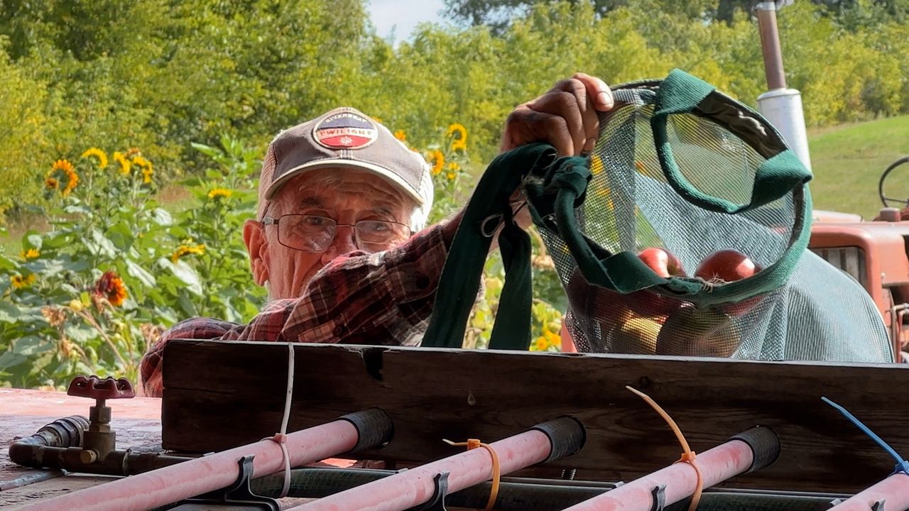 How apple picking season will be impacted by the drought