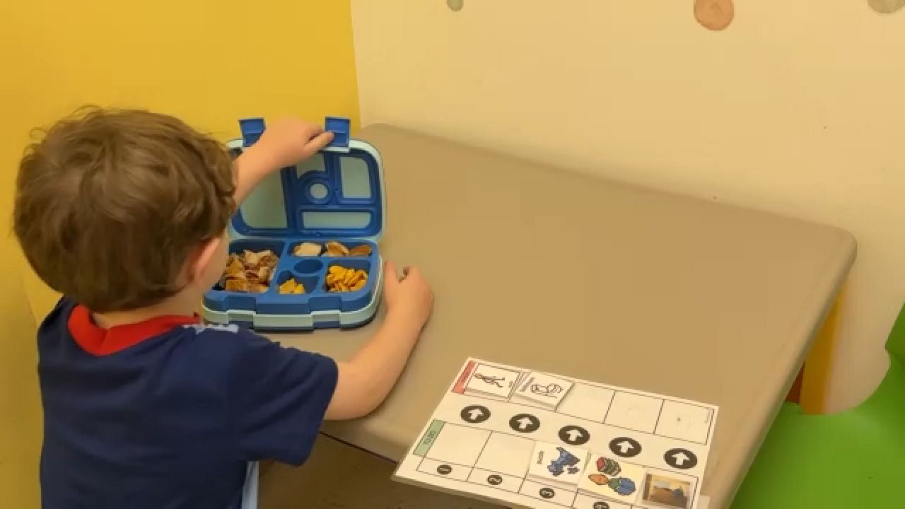 Families advocate for easier access to applied behavior analysis services for children with special needs