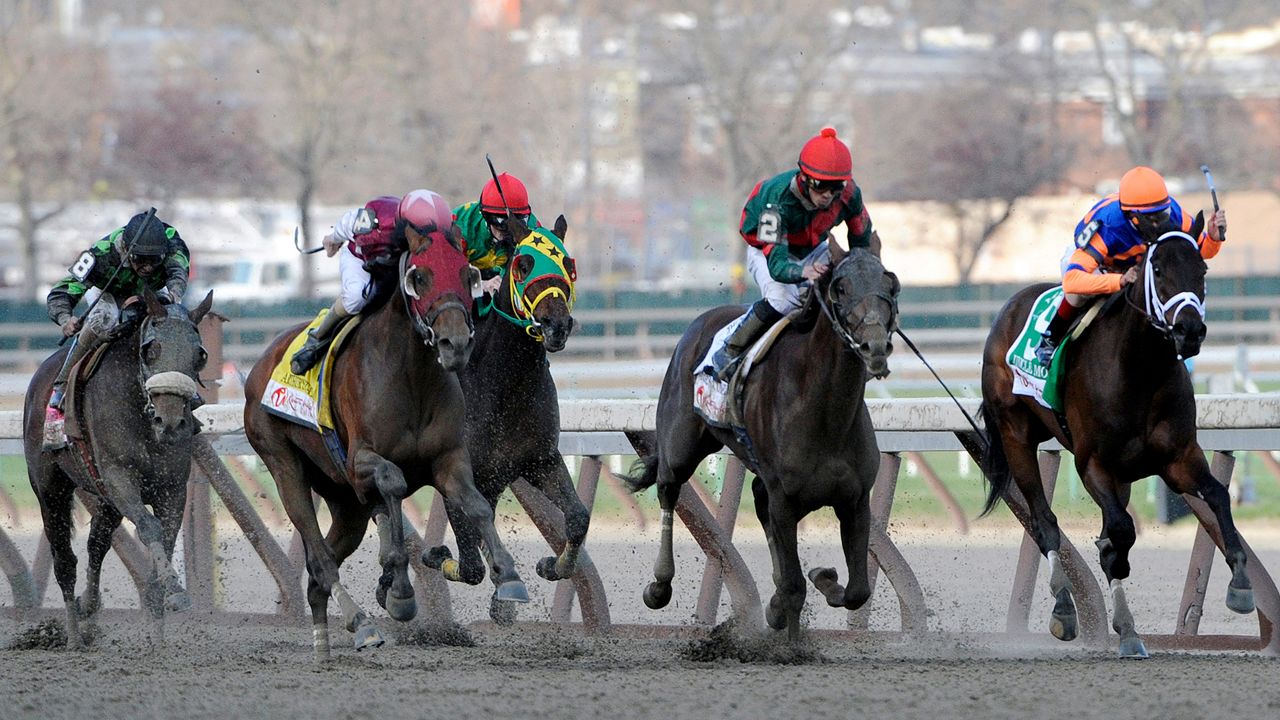 horse racing tracks reopen June 1