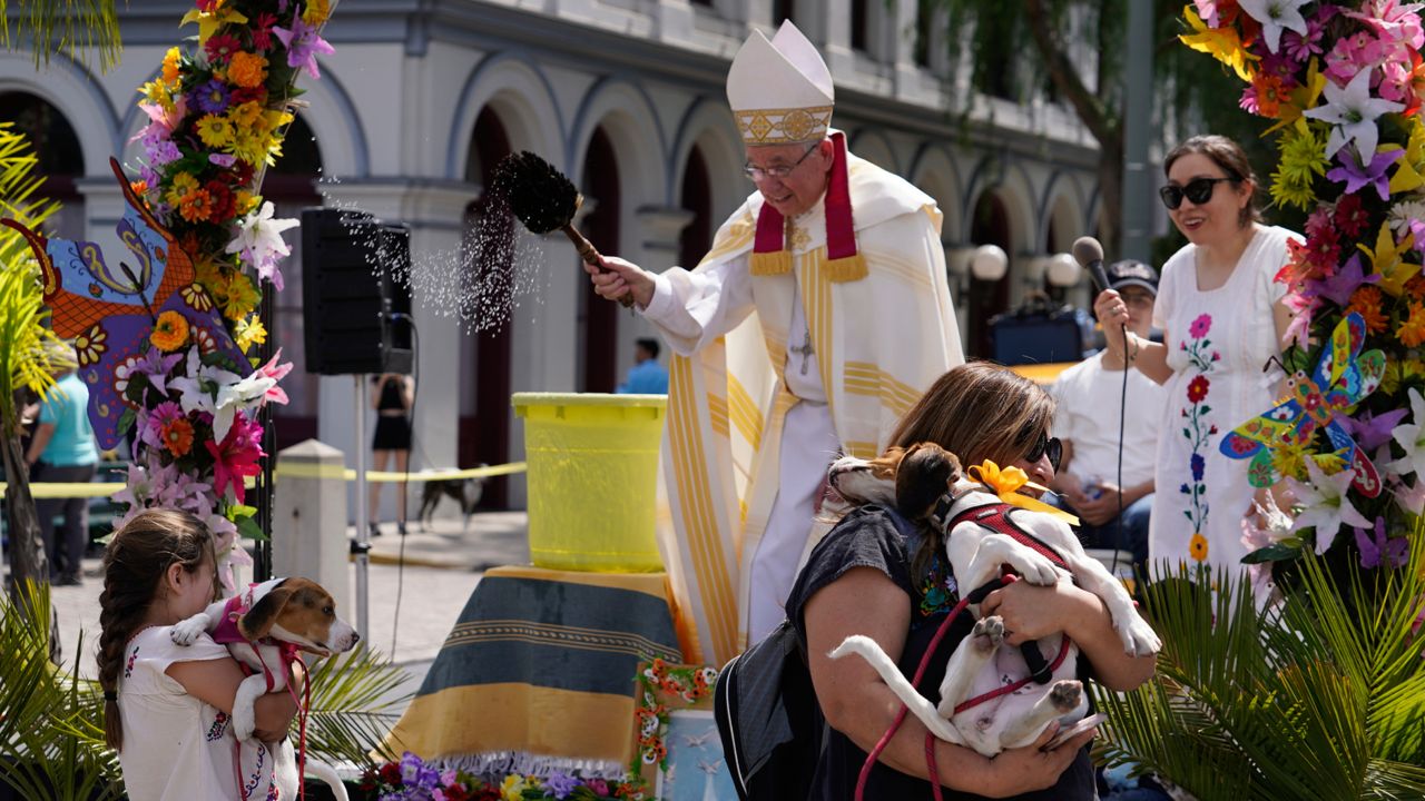 Archbishop of Los Angeles José H. Gomez blesses animals at Placita Olvera in downtown Los Angeles Saturday, April 8, 2023. (AP Photo/Damian Dovarganes)