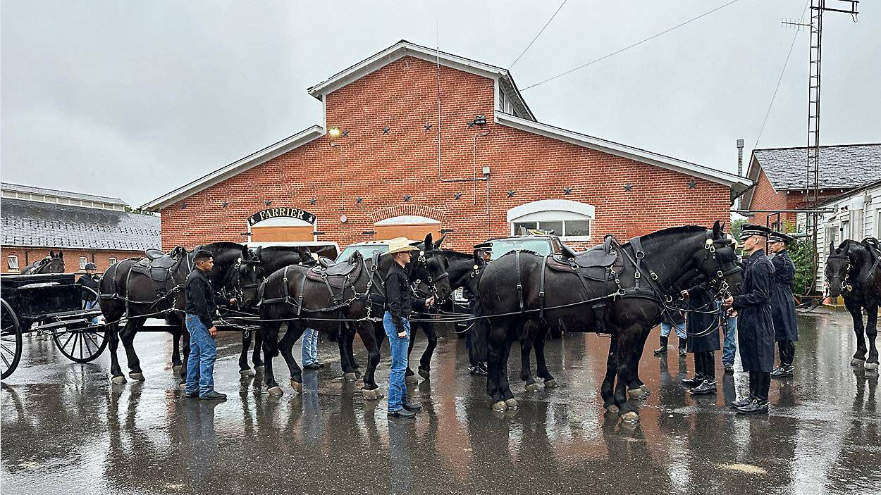 Next week the elite horse-drawn caisson unit will return to one of America’s oldest burial grounds at Arlington National Cemetery. (Reuben Jones/Spectrum News)