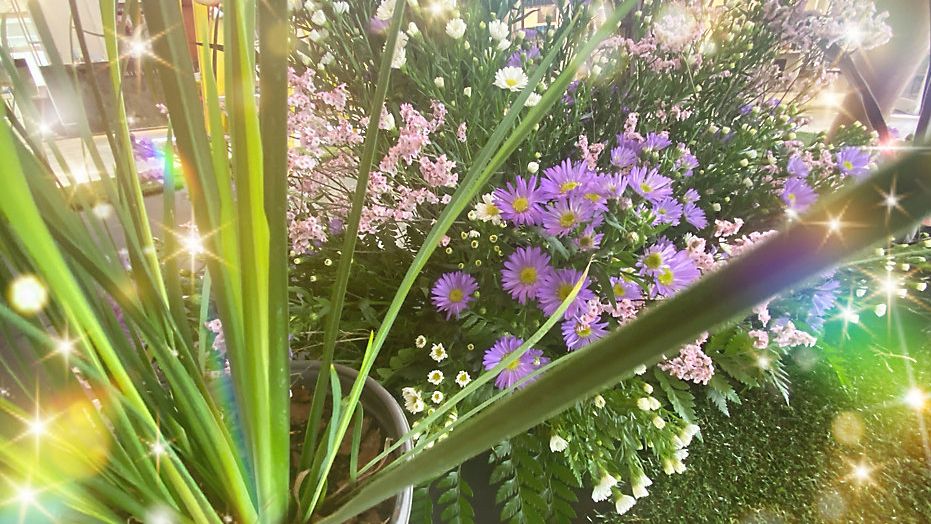 Nearly two dozen floral arrangements are ready to rock your world during this weekend's "Art in Bloom" event. (Spectrum News 13/Allison Walker)