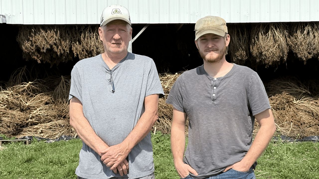 Federal hemp rule change leaves Kentucky farmers with few options